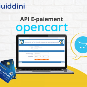 API E-paiement pour Opencart