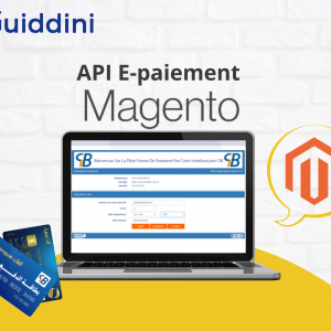 API E-paiement pour Magento