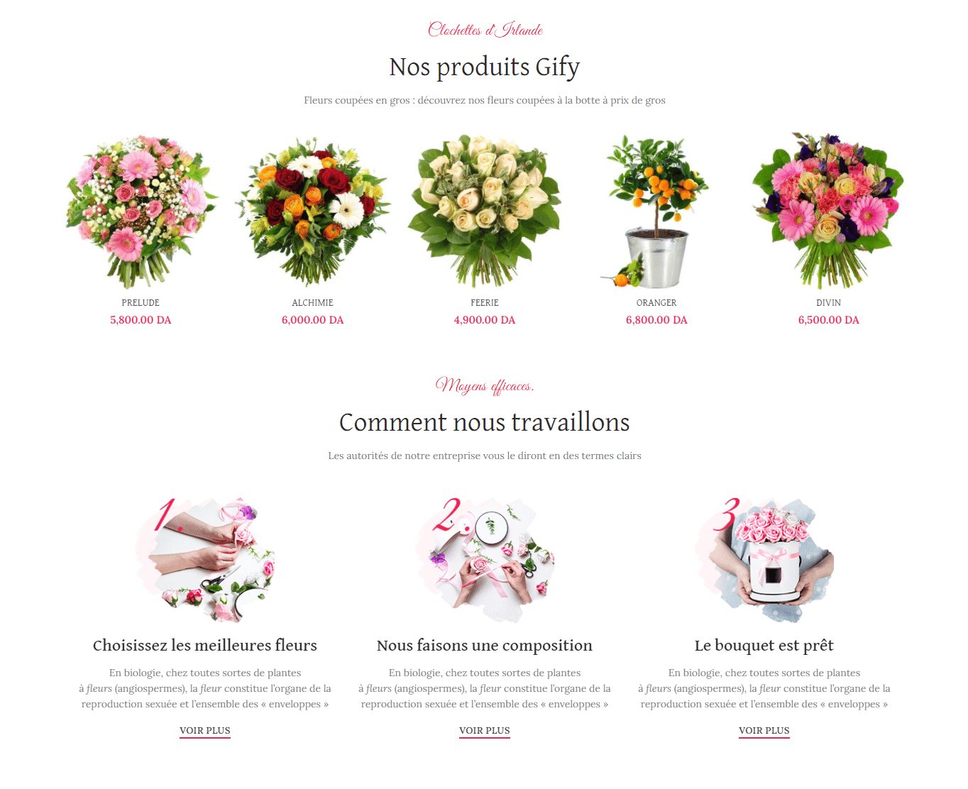 Boutique en ligne Fleuristes en Saas – Certifié CIB متجر إلكتروني مجهز للدفع بالبطاقات