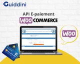 Api paiement satim cib